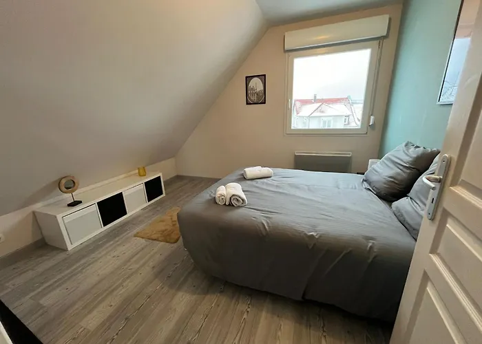 Serenite Alsacienne بيت للعطل *